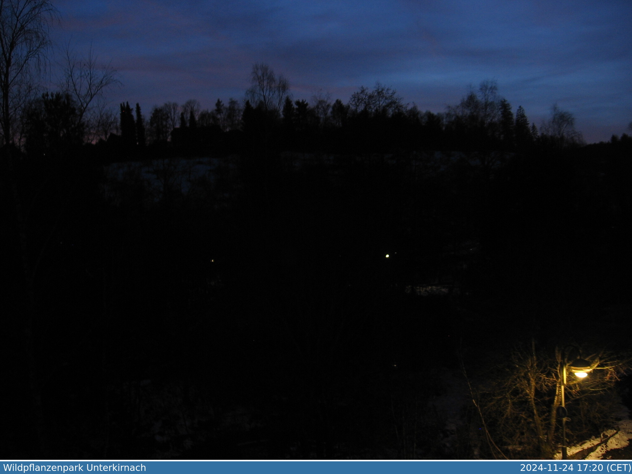 Webcam 78089 Unterkirnach, Blick auf den Wildpflanzenpark